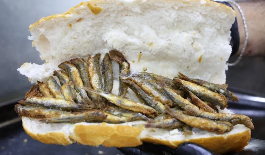 19 mayıs ilçesinde sahil ve tarım ürünlerinin mutfağa etkisi