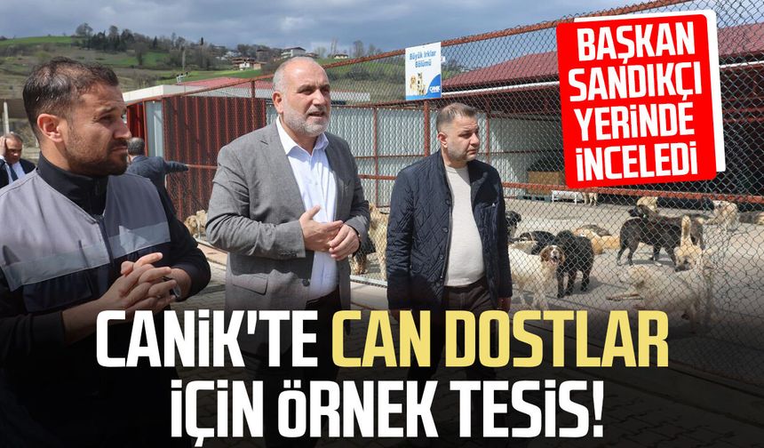 Canik'te can dostlar için örnek tesis! Başkan İbrahim Sandıkçı yerinde inceledi