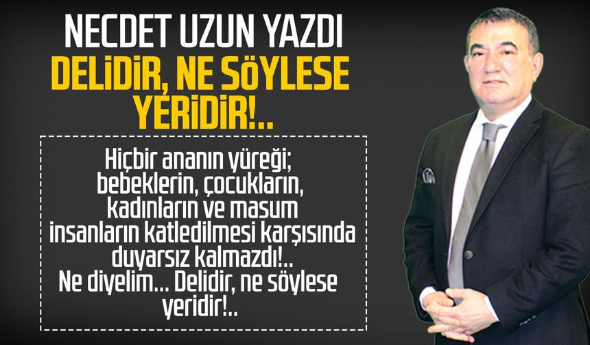 Necdet Uzun yazdı: Delidir, ne söylese yeridir!..