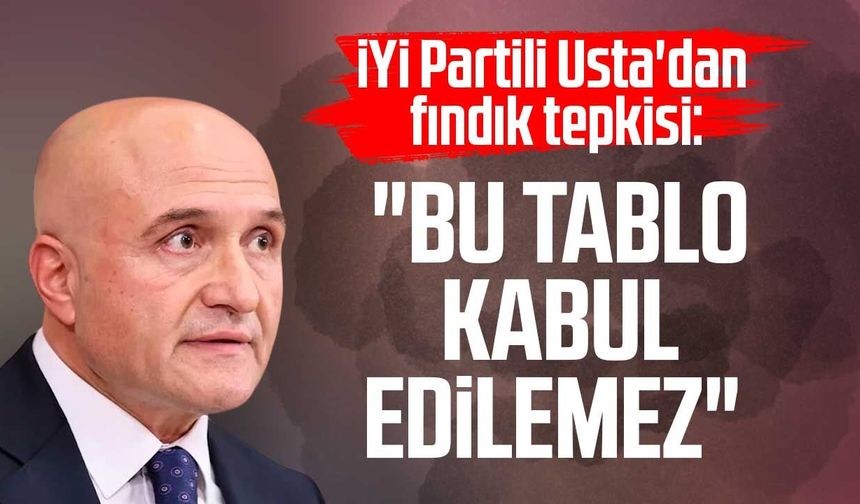 İYİ Partili Erhan Usta'dan fındık tepkisi: "Bu tablo kabul edilemez"
