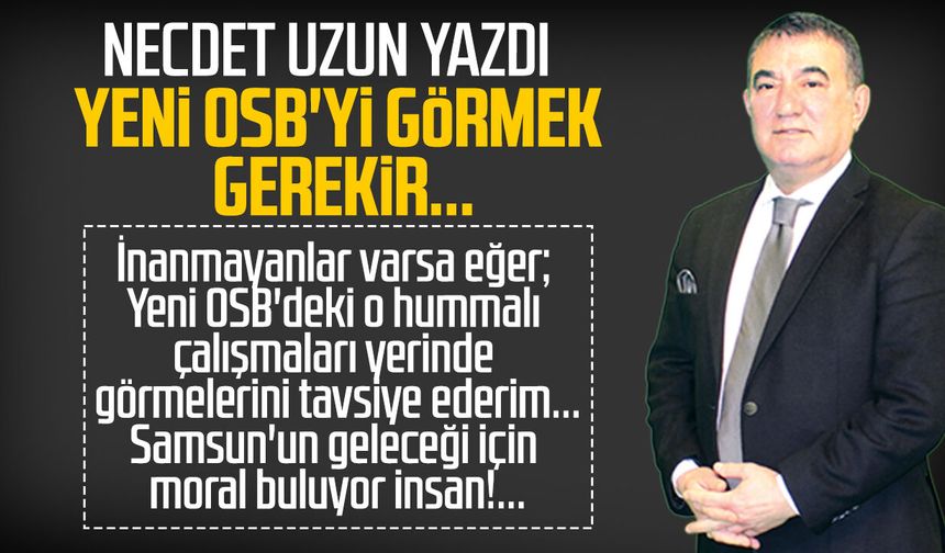 Necdet Uzun yazdı: Yeni OSB'yi görmek gerekir...