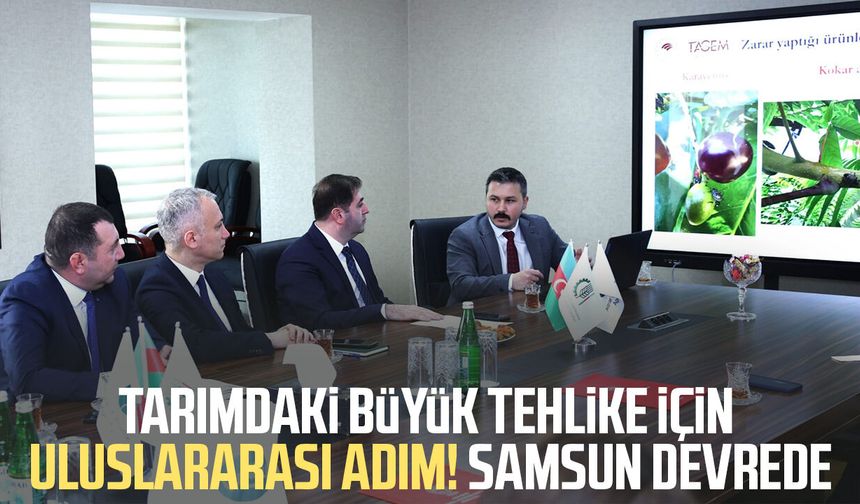 Kahverengi kokarca için uluslararası adım! Samsun devrede