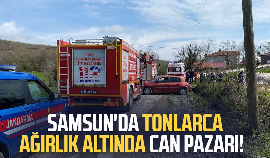 Samsun'da ağaç keserken canından oluyordu!