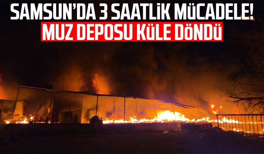 Samsun’da 3 saatlik mücadele! Muz deposu küle döndü