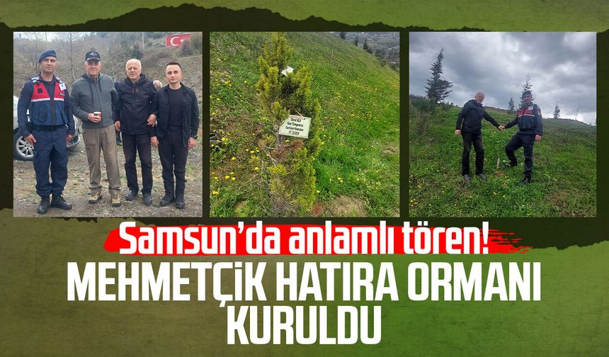 Samsun’da anlamlı tören! Mehmetçik Hatıra Ormanı kuruldu