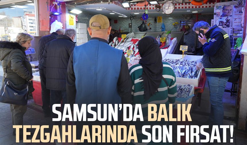 Samsun'da av yasağı öncesi balık tezgahlarında son fırsat!