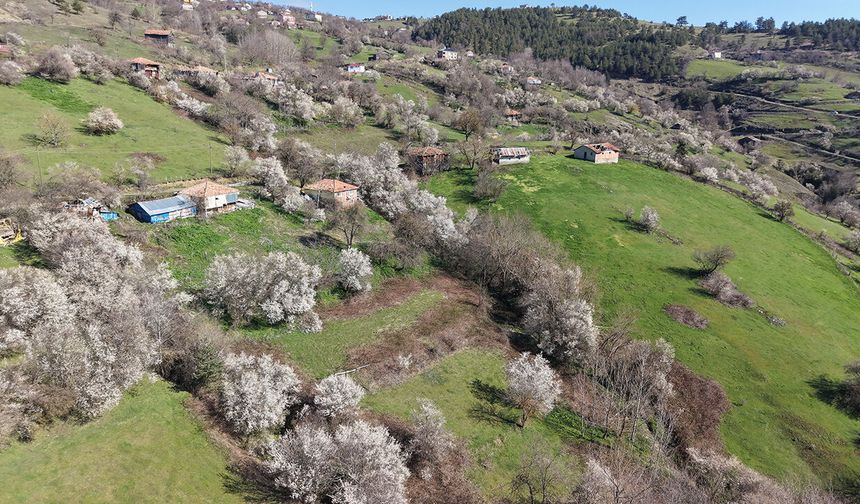 Samsun’da bahar böyle geldi! Ortaya kartpostallık görüntüler çıktı