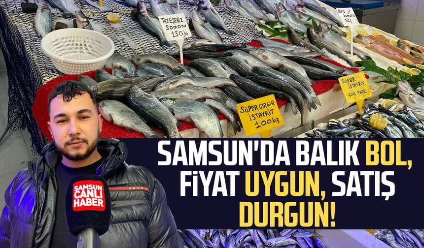 Samsun'da balık bol, fiyat uygun, satış durgun!