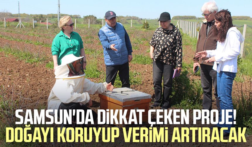 Samsun'da dikkat çeken proje! Doğayı koruyup verimi artıracak - samsungazetesi.com