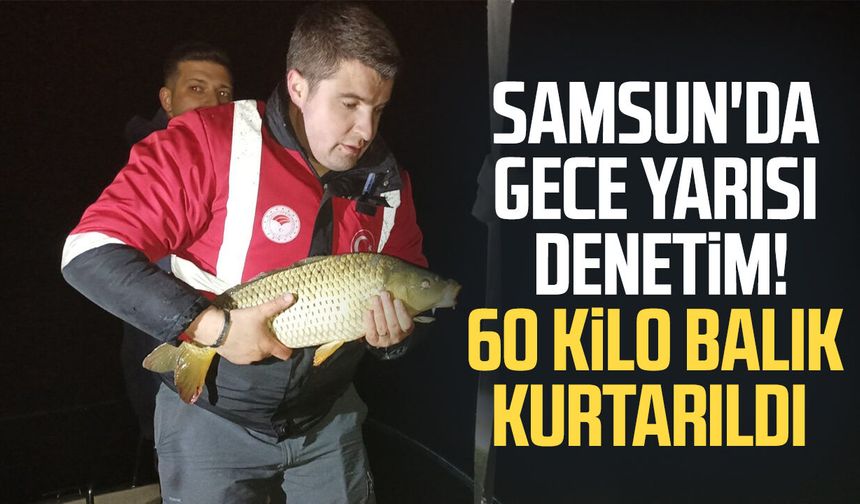 Samsun'da gece yarısı denetim! 60 kilo balık kurtarıldı