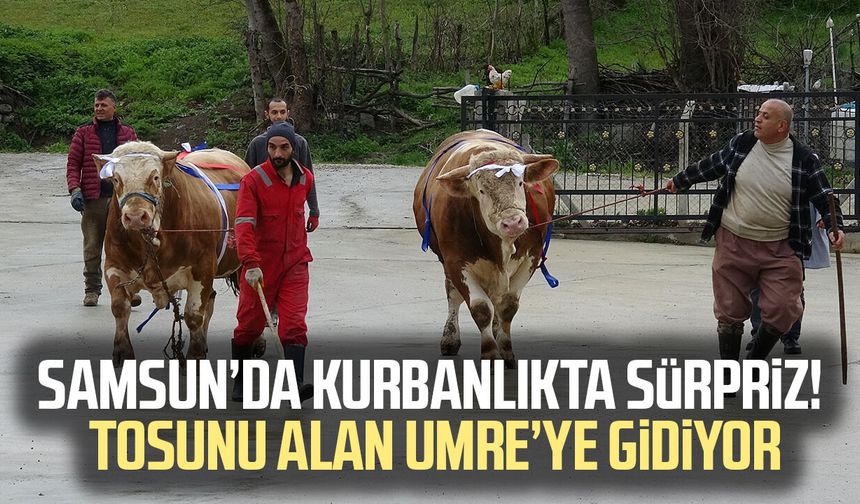 Samsun'da kurbanlık fiyatı dudak uçuklattı, hediyesi şaşırttı!