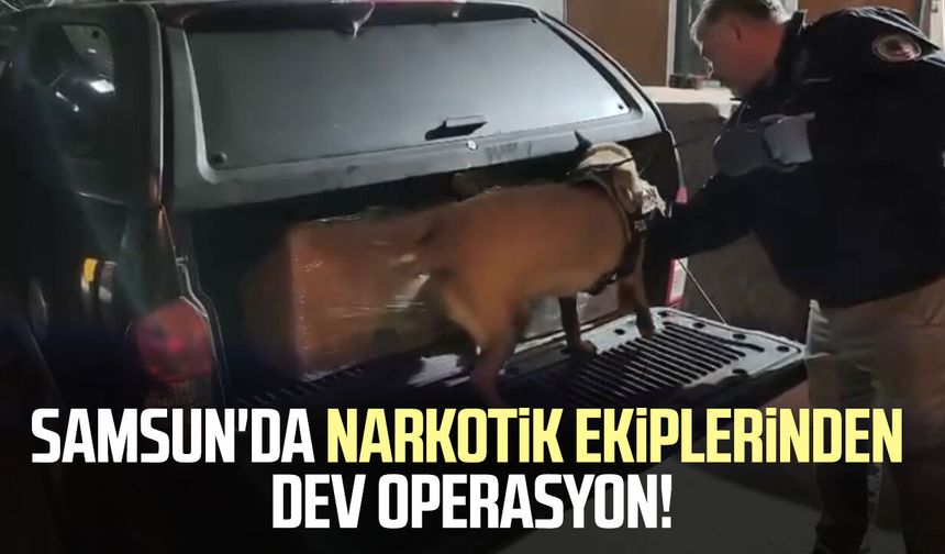 Samsun'da narkotik ekiplerinden dev operasyon!