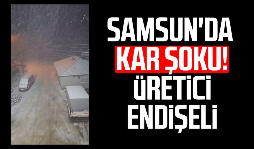 Samsun'da nisan ayında kar sürprizi! Üretici endişeli