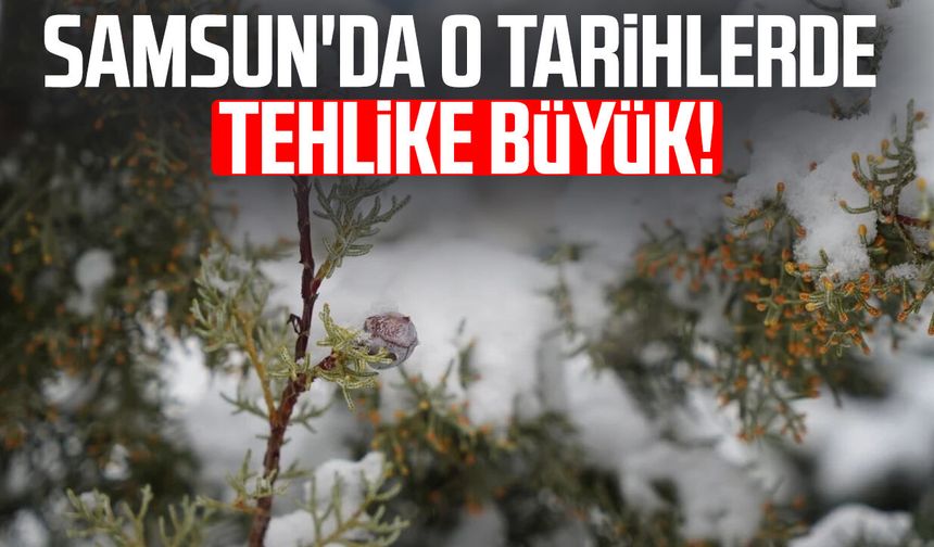 Samsun'da o tarihlerde tehlike büyük! Önemli uyarı