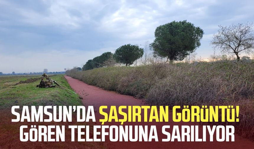 Samsun’da dikkat çeken görüntü! Gören telefonuna sarılıyor
