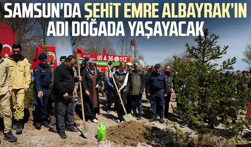 Samsun'da şehit Emre Albayrak’ın adı doğada yaşayacak