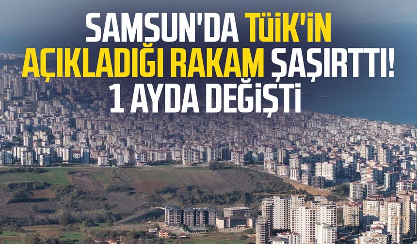 Samsun'da TÜİK'in açıkladığı rakam şaşırttı! 1 ayda değişti