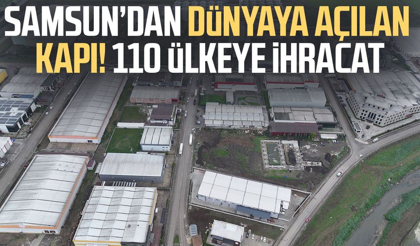 Samsun’dan dünyaya açılan kapı! 110 ülkeye ihracat