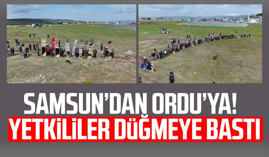 Samsun’dan Ordu’ya kızıl geyik sevkiyatı sürüyor!
