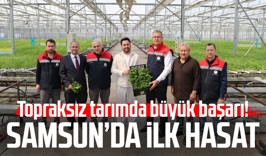 Topraksız tarımda büyük başarı! Samsun’da ilk hasat