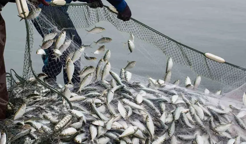 Yakakent’te Balıkçılık Geleneği ve Mutfak