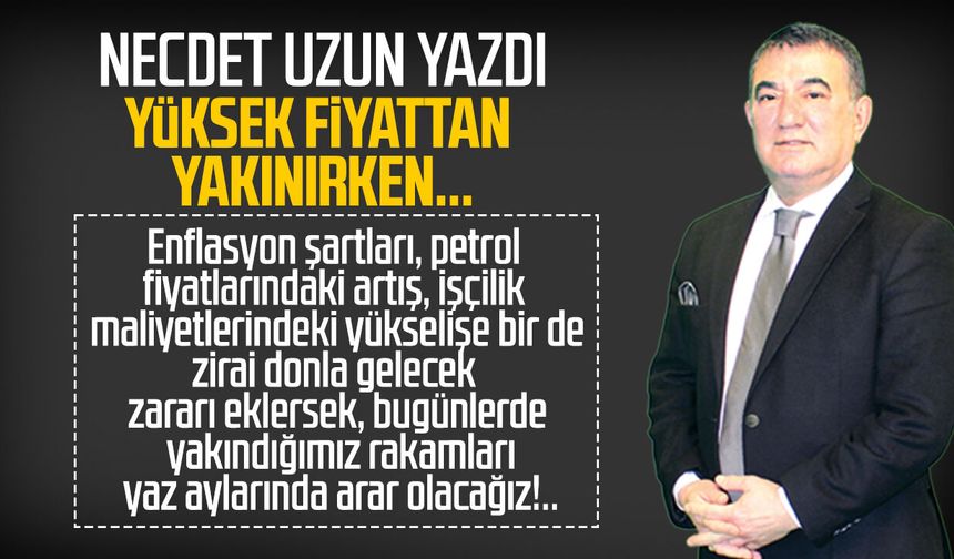 Necdet Uzun yazdı: Yüksek fiyattan yakınırken...