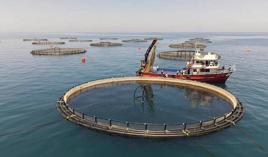 Yakakent’te Deniz ve Balık Kültürü