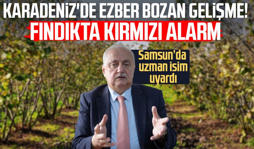 Ezber bozan gelişme! Samsun'da fındıkta kırmızı alarm