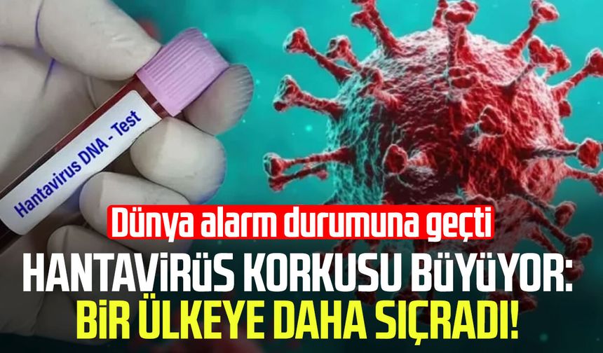 Hantavirüs endişesi büyüyor: Vakalar farklı ülkelerde görüldü