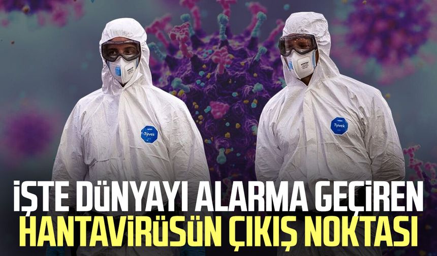 İşte dünyayı alarma geçiren hantavirüsün çıkış noktası