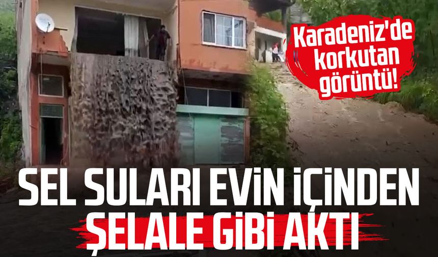 Karadeniz'de korkutan görüntü! Sel suları evin içinden şelale gibi aktı
