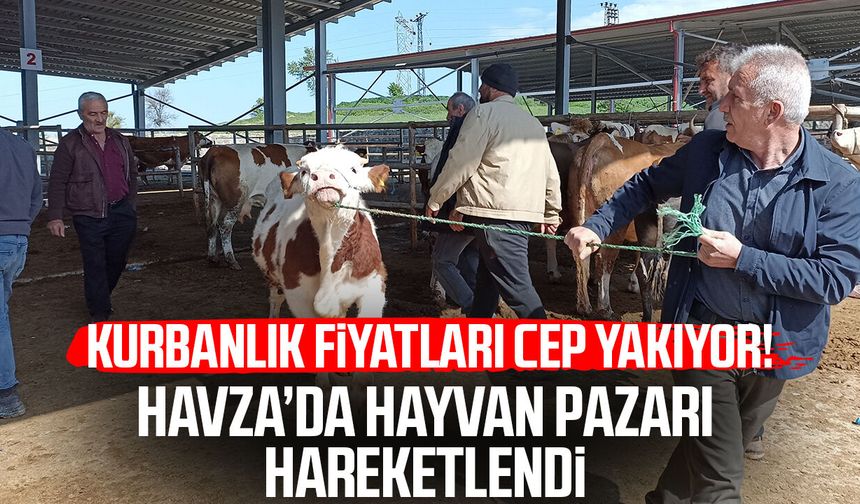 Kurbanlık fiyatları cep yakıyor! Havza’da hayvan pazarı hareketlendi