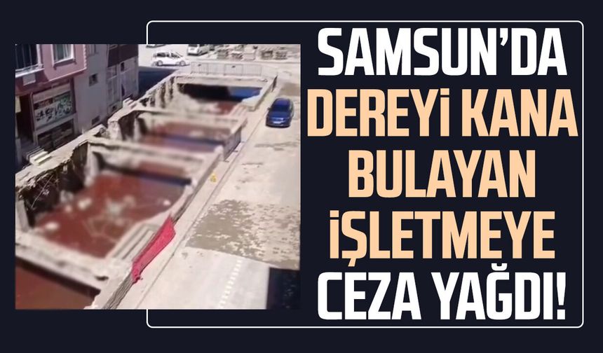 Samsun’da dereyi kana bulayan işletmeye ceza yağdı!