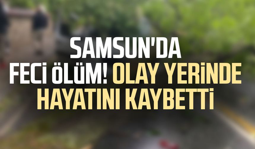 Samsun'da devrilen ağaç can aldı! Sadık Etli hayatını kaybetti