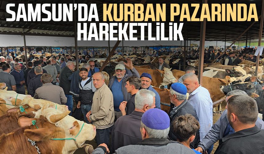Samsun’da kurban pazarında hareketlilik
