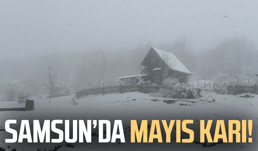 Samsun'da Mayıs karı! Yüksek kesimler beyaza büründü