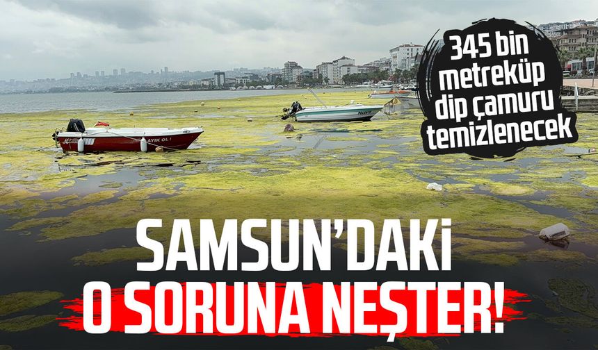 Samsun Kurupelit Marina'daki "deniz marulu" sorununa neşter!