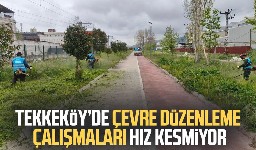 Tekkeköy’de çevre düzenleme çalışmaları hız kesmiyor