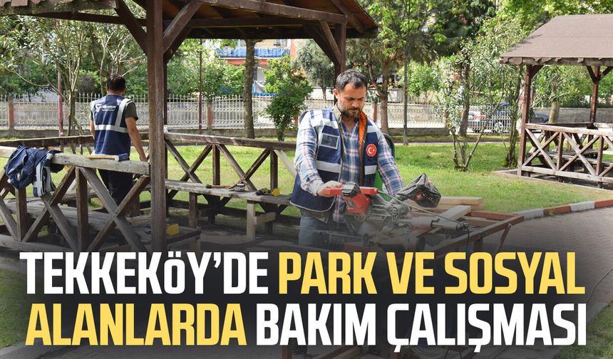 Tekkeköy’de park ve sosyal alanlarda bakım çalışması