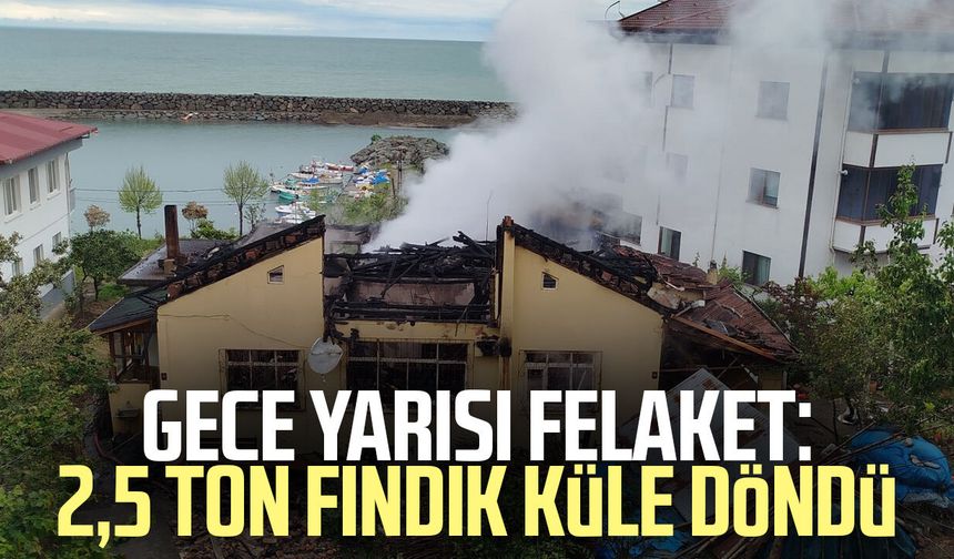 Trabzon’da korkutan yangın! 2,5 ton fındık kül oldu