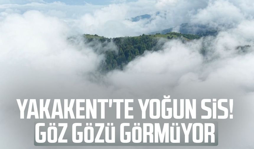 Yakakent'te yoğun sis! Göz gözü görmüyor