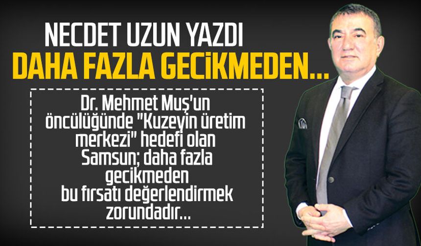 Necdet Uzun yazdı: Daha fazla gecikmeden...