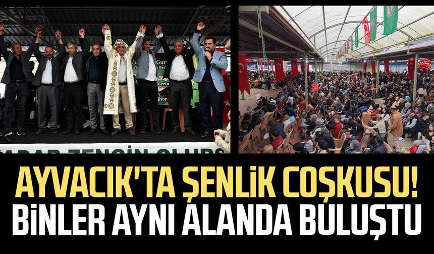 Ayvacık'ta şenlik coşkusu! Binler aynı alanda buluştu
