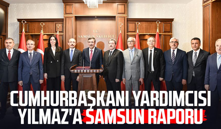Cumhurbaşkanı Yardımcısı Cevdet Yılmaz'a Samsun raporu