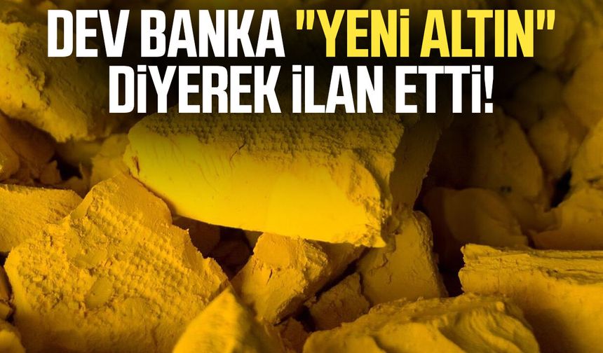 Dev banka "yeni altın" diyerek ilan etti!