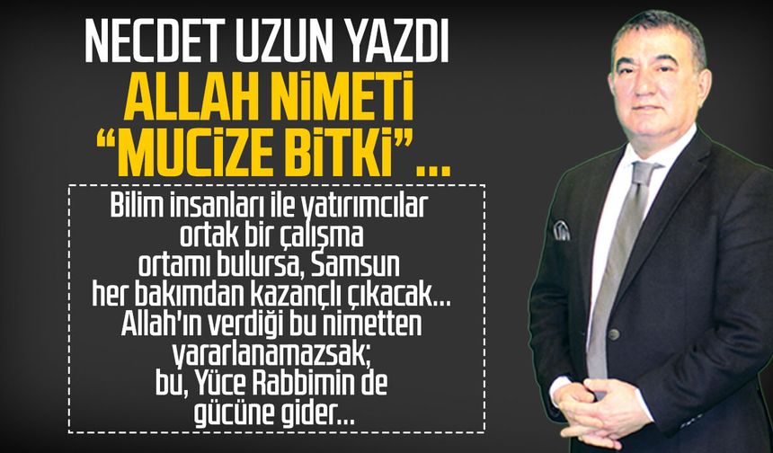 Necdet Uzun yazdı: Allah nimeti "Mucize bitki"...