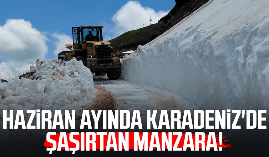 Haziran ayında Karadeniz'de şaşırtan manzara!