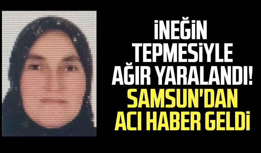 Samsun'da tedavi görüyordu! Meral Kılavuz hayatını kaybetti