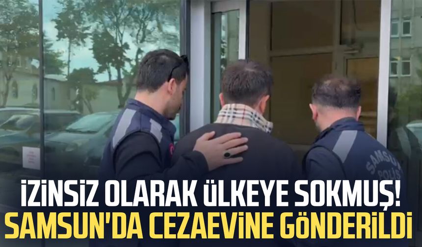 İzinsiz olarak ülkeye sokmuş! Samsun'da cezaevine gönderildi