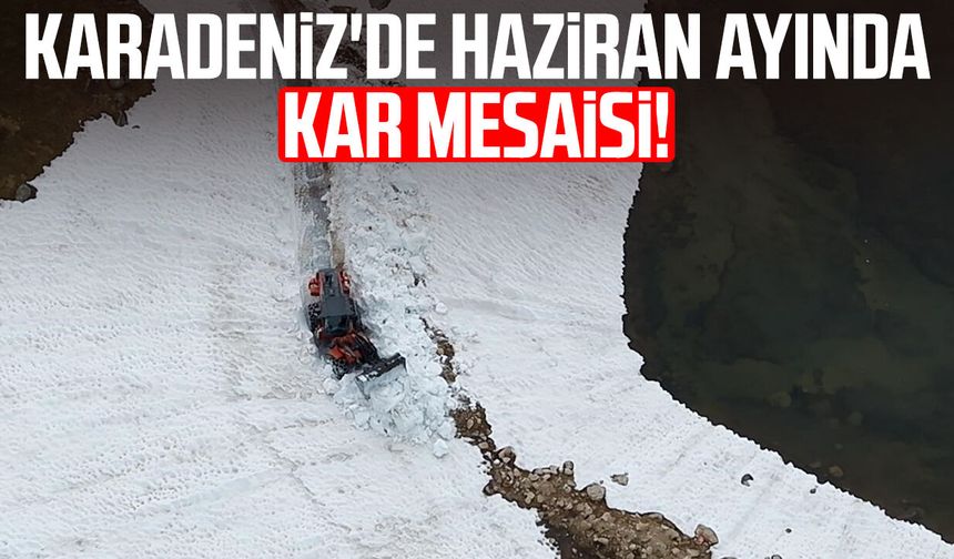 Karadeniz'de haziran ayında kar mesaisi!